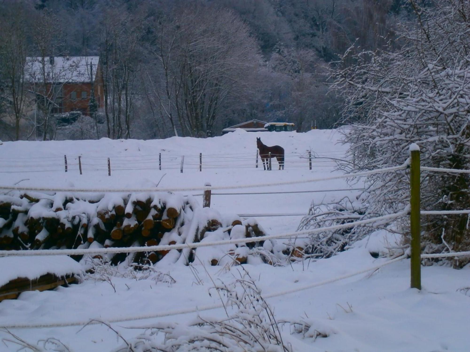 Le Renard'Or Bed and Breakfast Trois-Ponts Εξωτερικό φωτογραφία