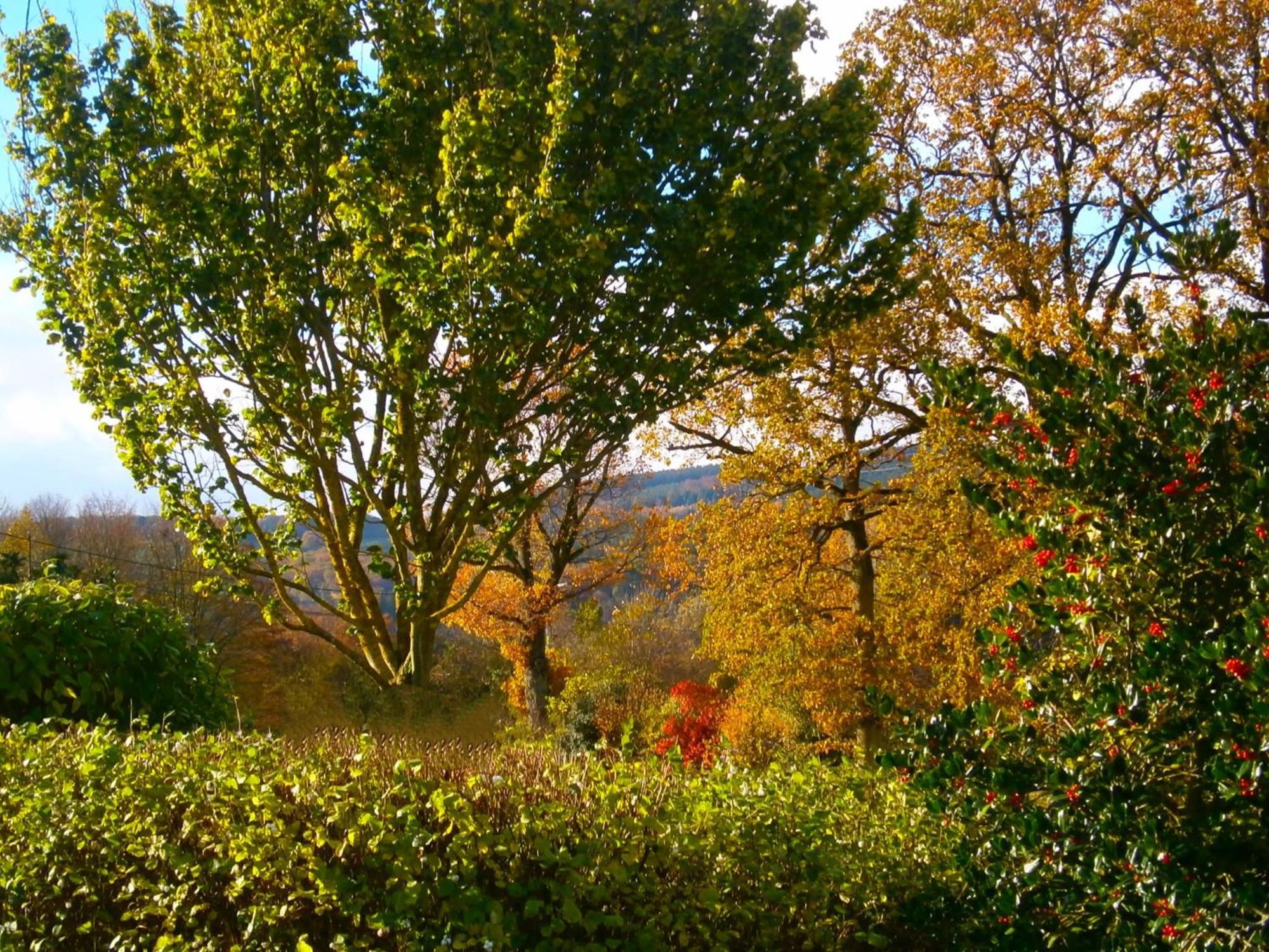 Le Renard'Or Bed and Breakfast Trois-Ponts Εξωτερικό φωτογραφία